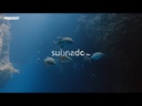 youtube - [Video]