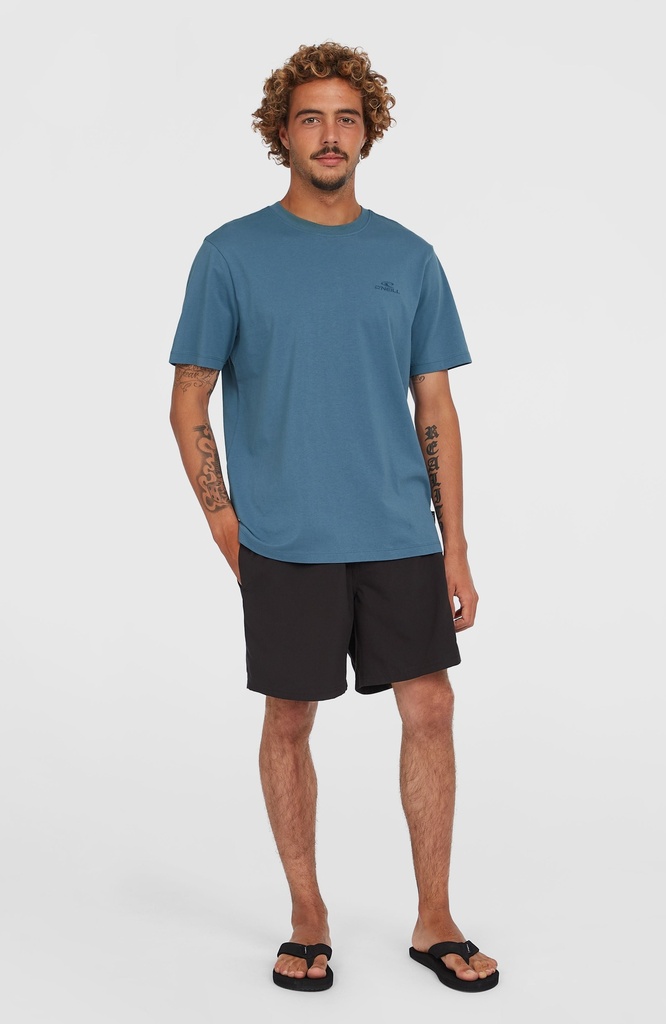 O'Neill Cali 16'' Swimshorts Black Out - official view 3
