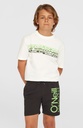 O'NEILL ORIGINAL CALI 14' SWIMSHORTS PARADISE VALLEY 104 - official view 1