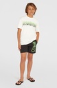 O'NEILL ORIGINAL CALI 14' SWIMSHORTS PARADISE VALLEY 104 - official view 3