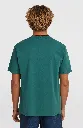 2850354_15097_3_MODEL_745.webp