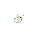 Koalition Leash String - Assorted Colours