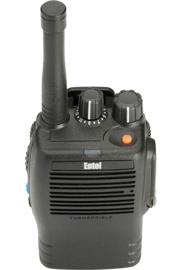 DX446e Digital/Analogue Licence Free portable Radio