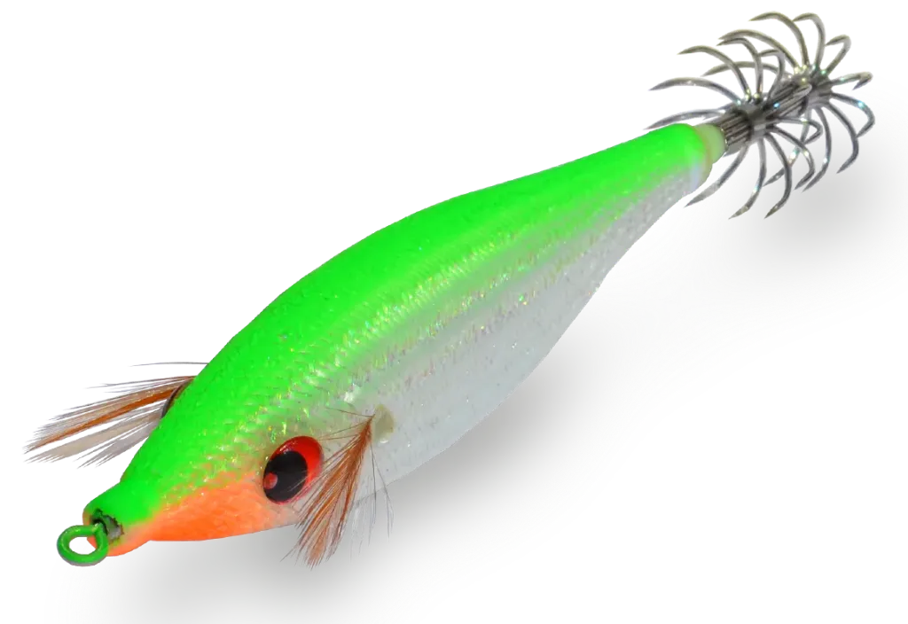 DTD Squid 2.0